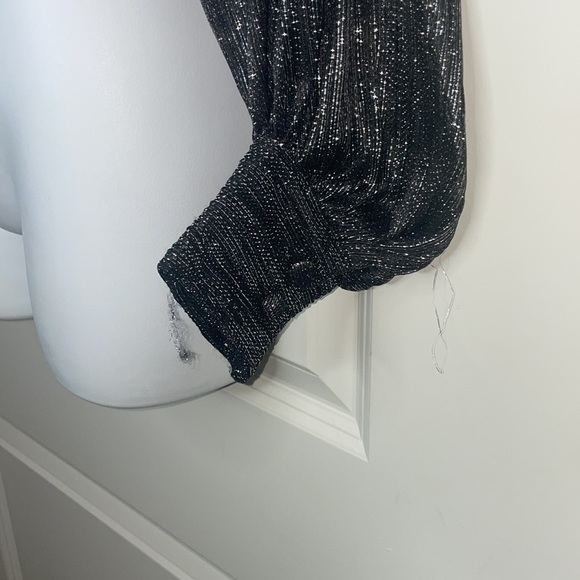 ZARA Shimmer Blouse - Picture 6 of 12